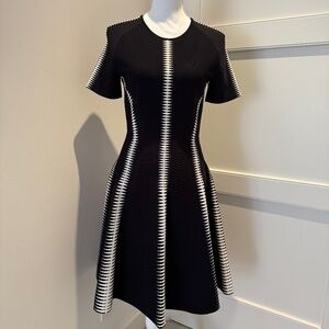Alexander McQueen Zigzag Striped Jacquard Mini Dress Size L